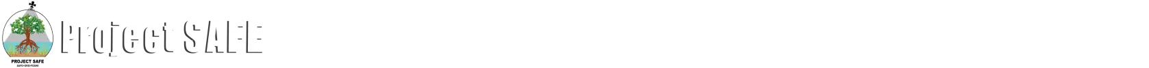 SAFE LOGO